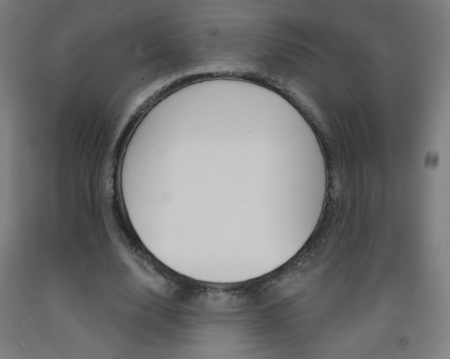 X0000093140632200709261059