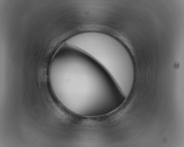 X0000093140633200709261059