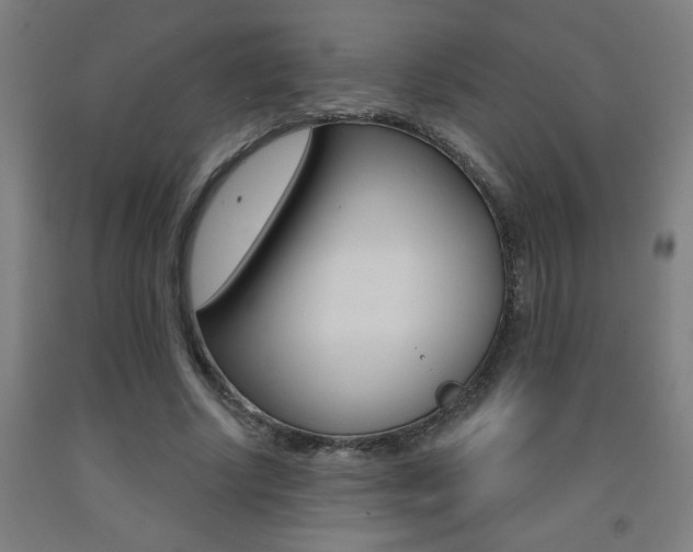 X0000093140634200709261059