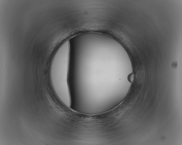 X0000093140635200709261059