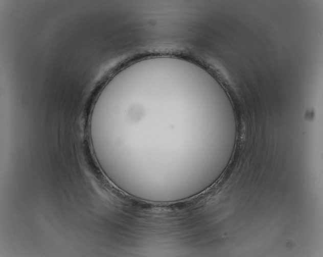 X0000093140636200709261059