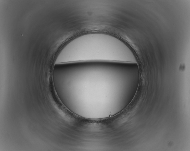 X0000093140637200709261059
