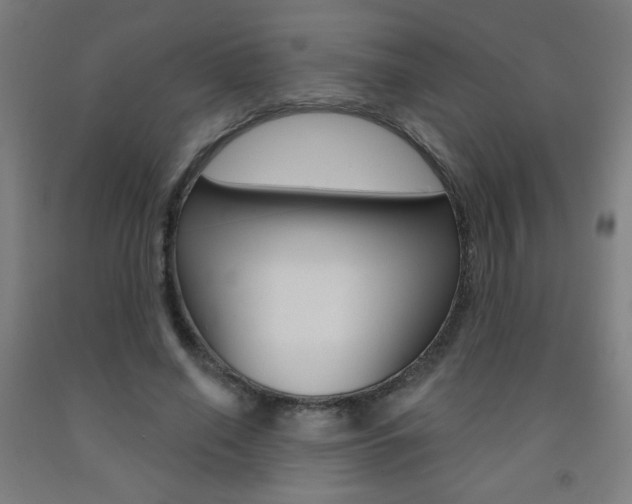 X0000093140638200709261059