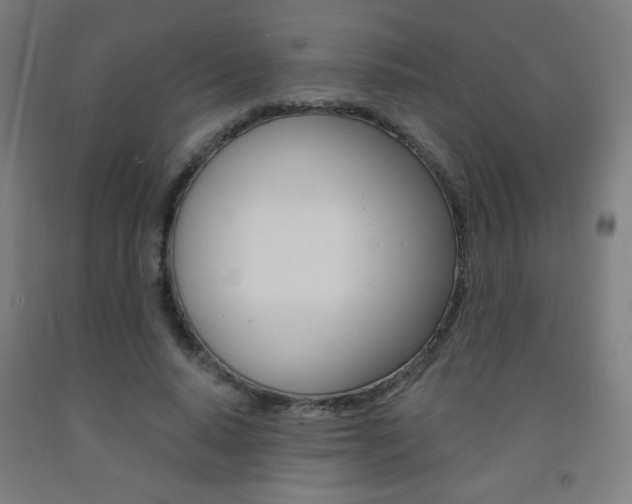 X0000093140640200709261059