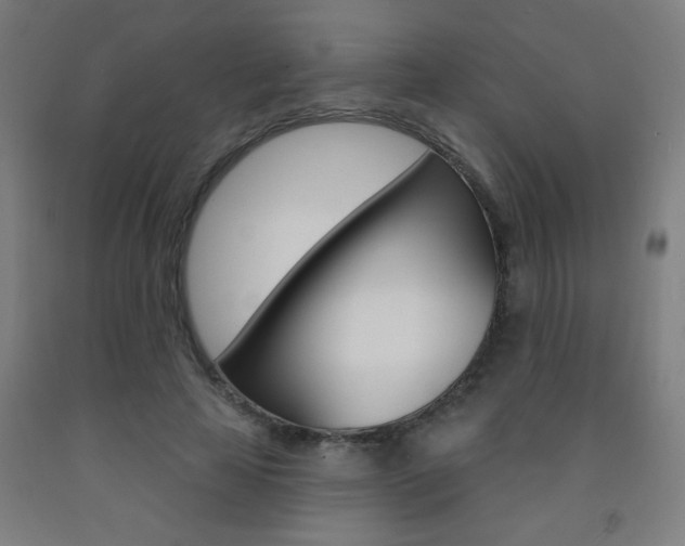 X0000093140641200709261059