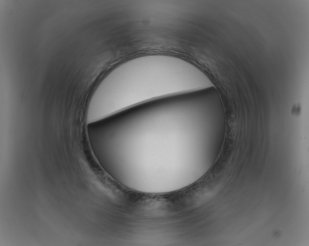X0000093140642200709261059
