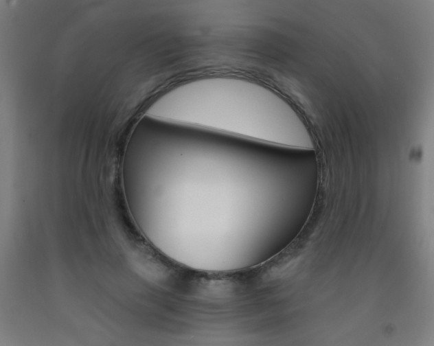 X0000093140645200709261059