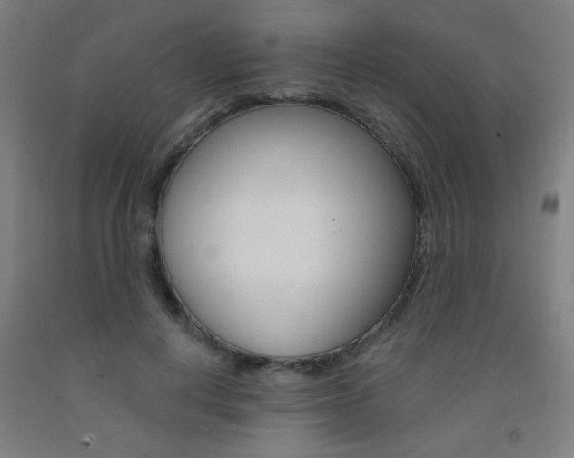 X0000093140648200709261059