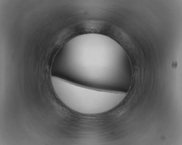X0000093140649200709261059