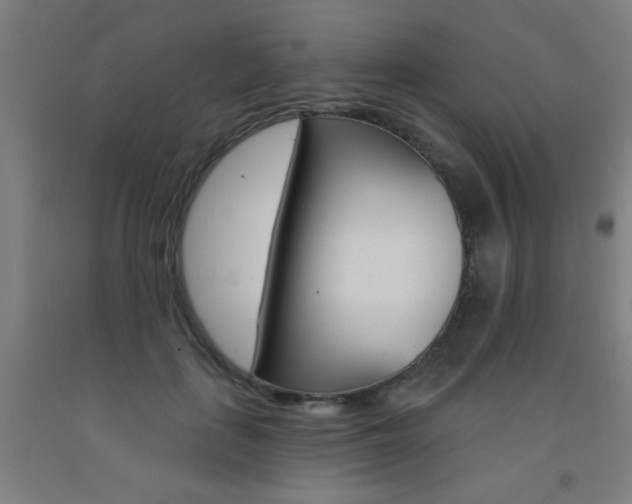 X0000093140651200709261059