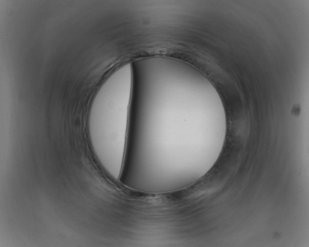 X0000093140652200709261059