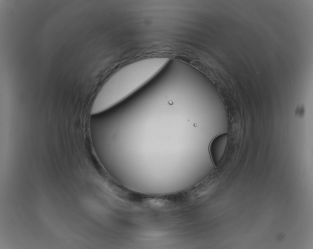 X0000093140654200709261059