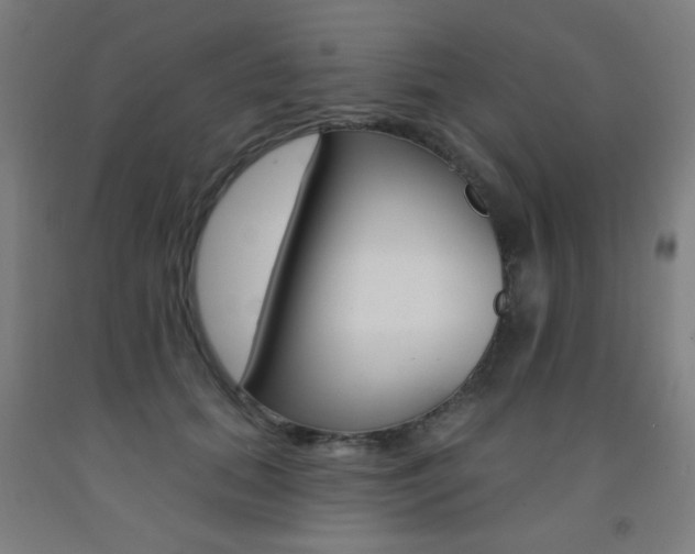X0000093140655200709261059
