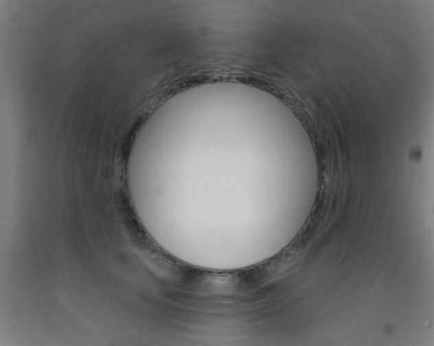 X0000093140659200709261059