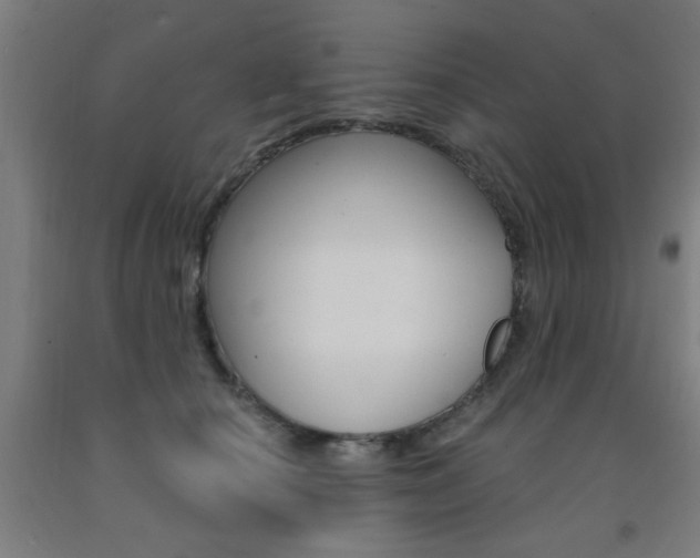X0000093140660200709261059