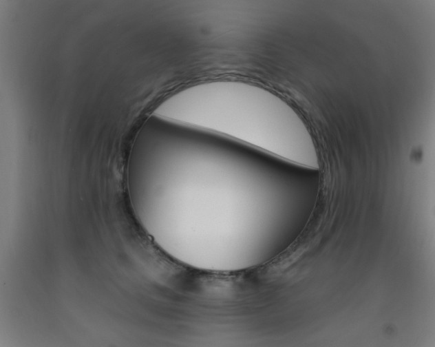 X0000093140661200709261059