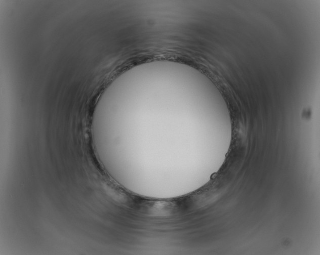 X0000093140663200709261059
