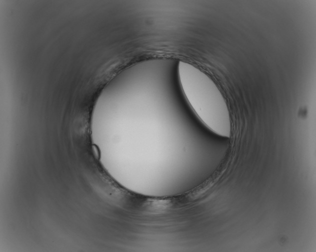 X0000093140665200709261059