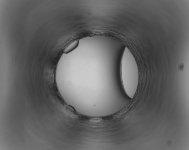 X0000093140666200709261059