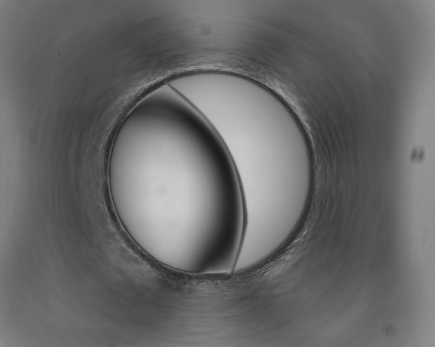 X0000093140673200709261059