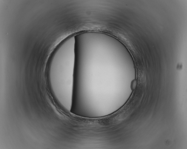 X0000093140674200709261059