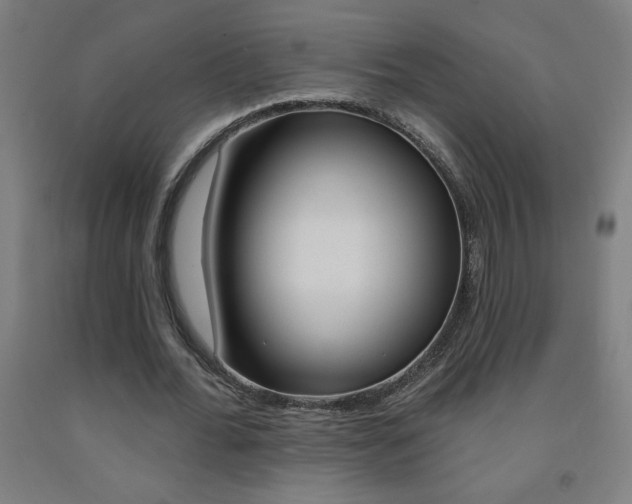 X0000093140676200709261059