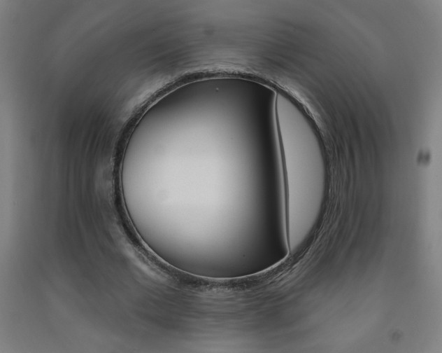 X0000093140677200709261059