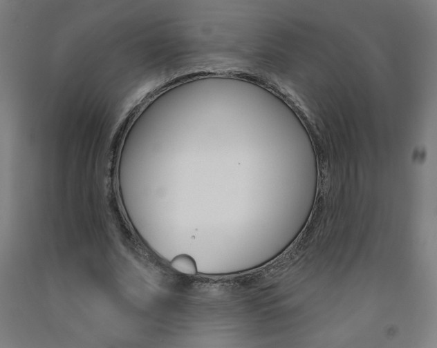 X0000093140679200709261059