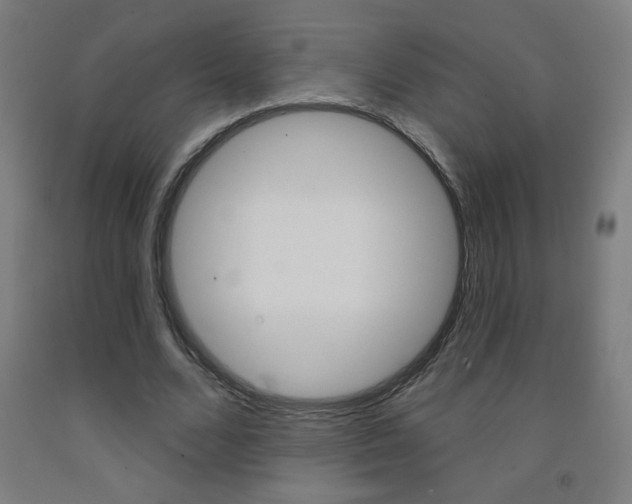 X0000093140680200709261059