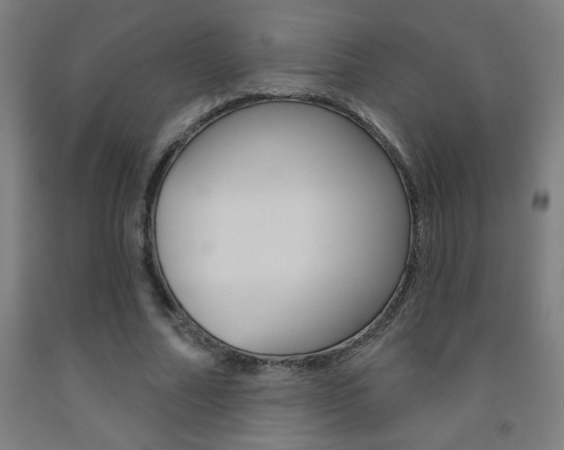X0000093140682200709261059