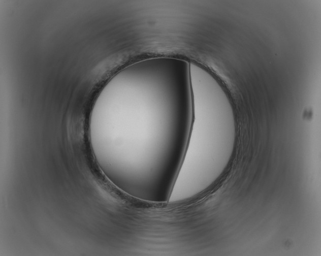 X0000093140685200709261058