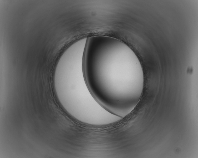X0000093140689200709261058