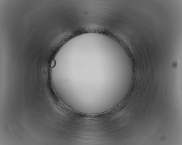 X0000093140690200709261058