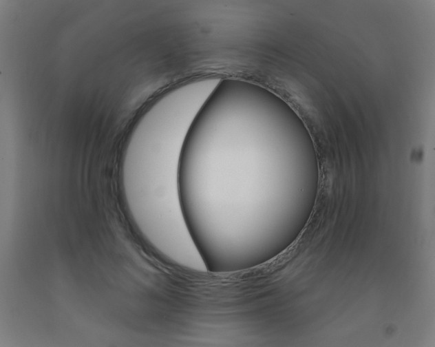 X0000093140692200709261058