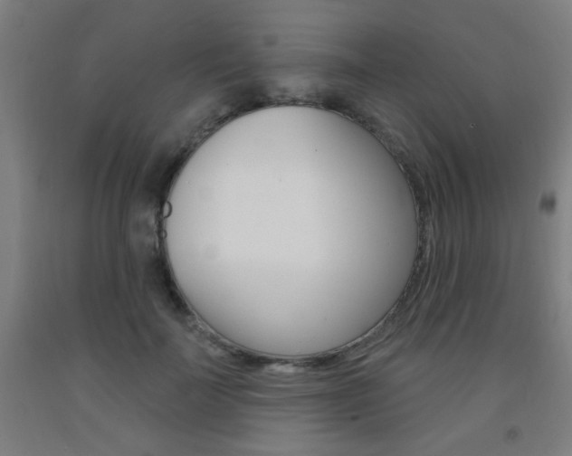 X0000093140699200709261058
