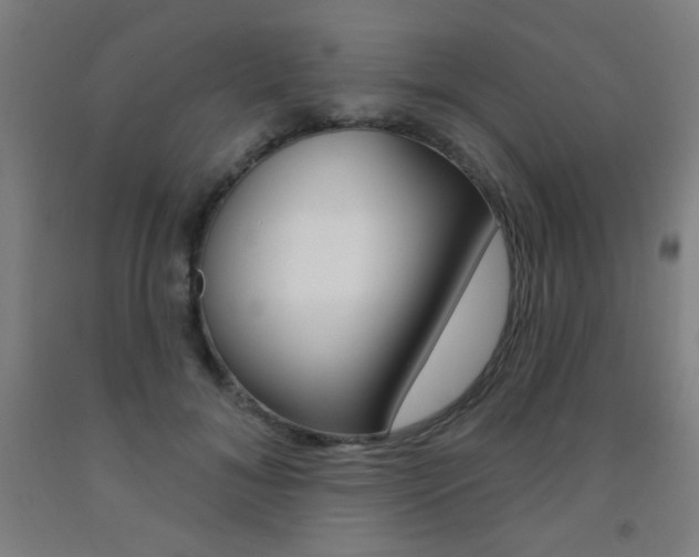 X0000093140700200709261058