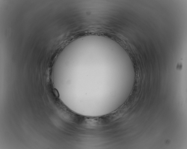 X0000093140703200709261058