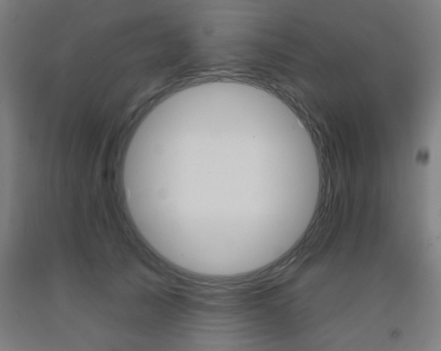 X0000093140705200709261058