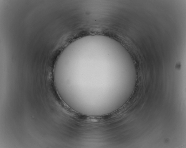 X0000093140706200709261058