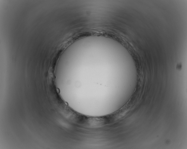 X0000093140707200709261058