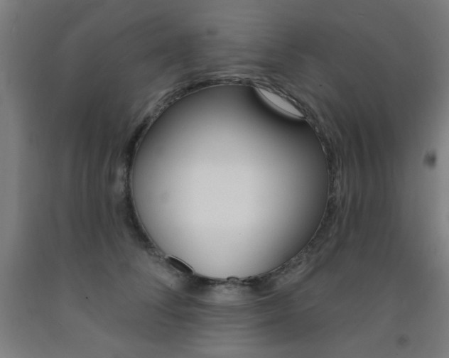 X0000093140708200709261058