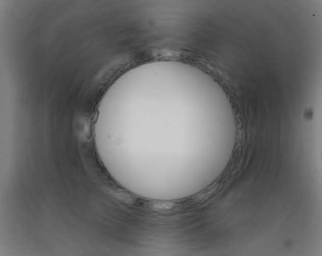 X0000093140709200709261058