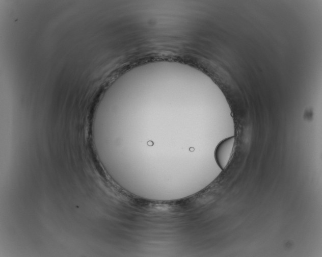 X0000093140710200709261058
