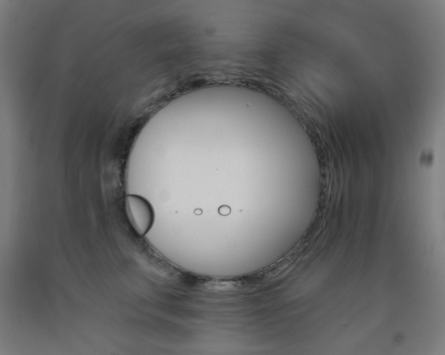 X0000093140711200709261058