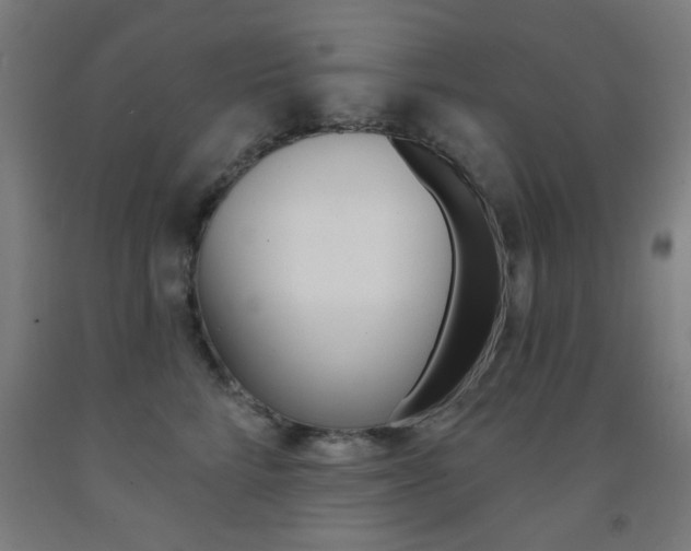 X0000093140712200709261058