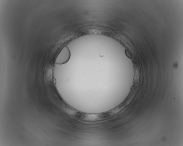 X0000093140717200709261058