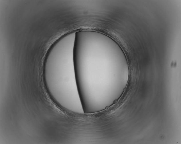 X0000093140721200709261057