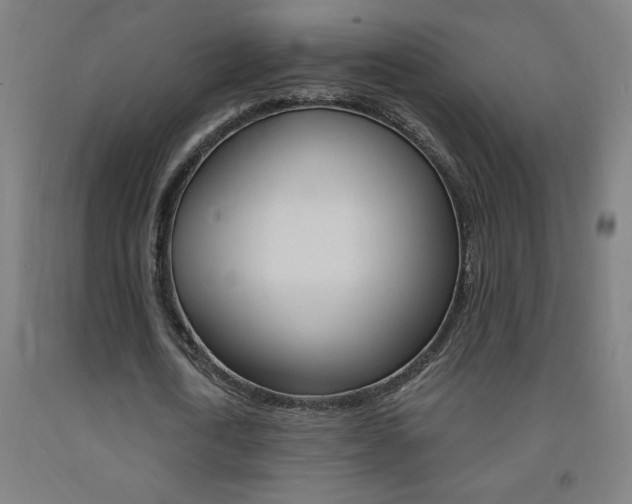 X0000093140722200709261057