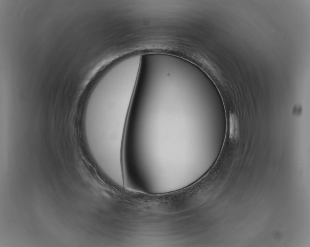 X0000093140723200709261057