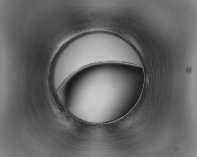 X0000093140724200709261057